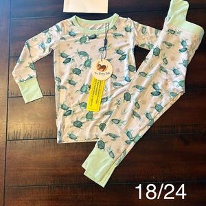The Sleepy Sloth Turtley Chill Long Sleeve Set - 18/24